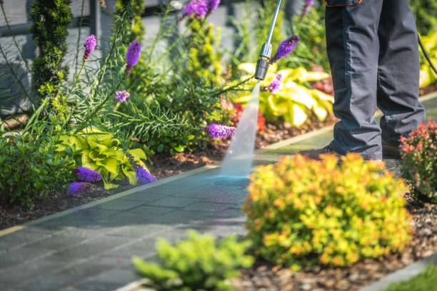 Best Boat and Dock Cleaning  in Milton, LA